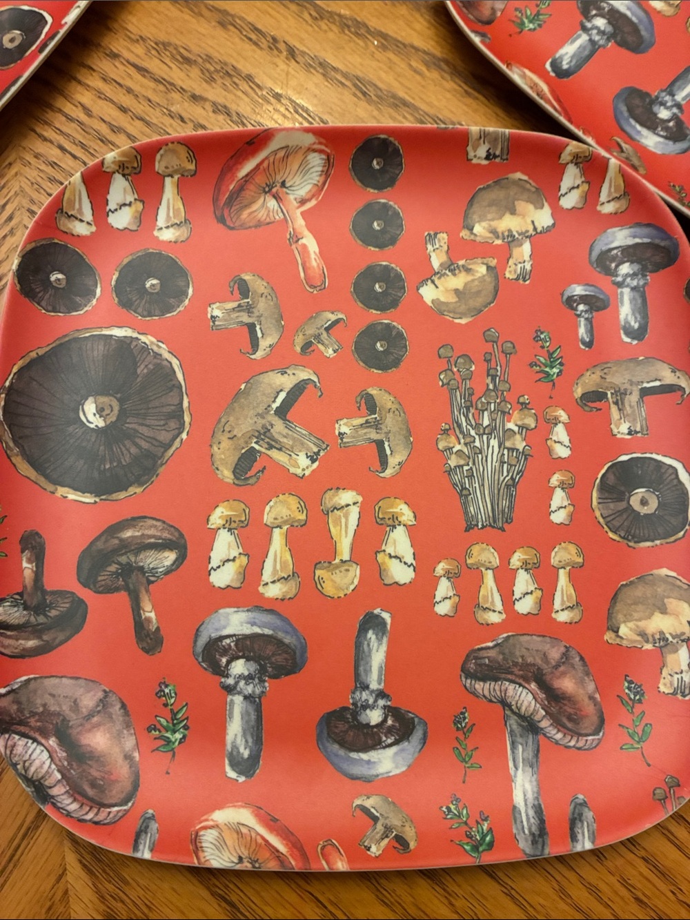 Terrain Anthropologie Mushroom Melamine Square 8” Plates Set of 4 Cottagecore⁠ - Picture 3 of 7